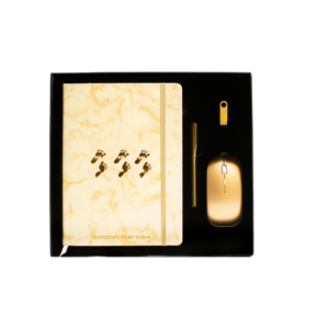 Footsteps to My Vision Gold Luxury Planner